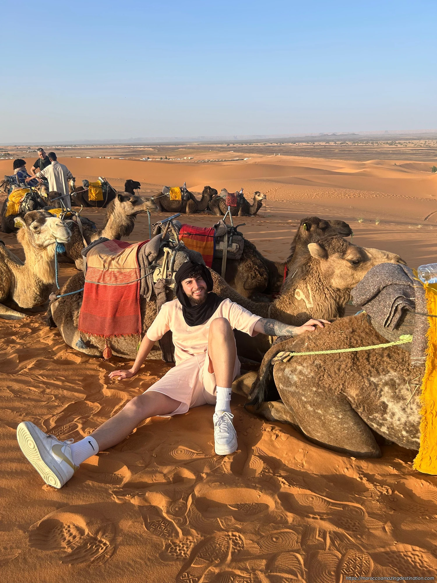 Camels in the desert