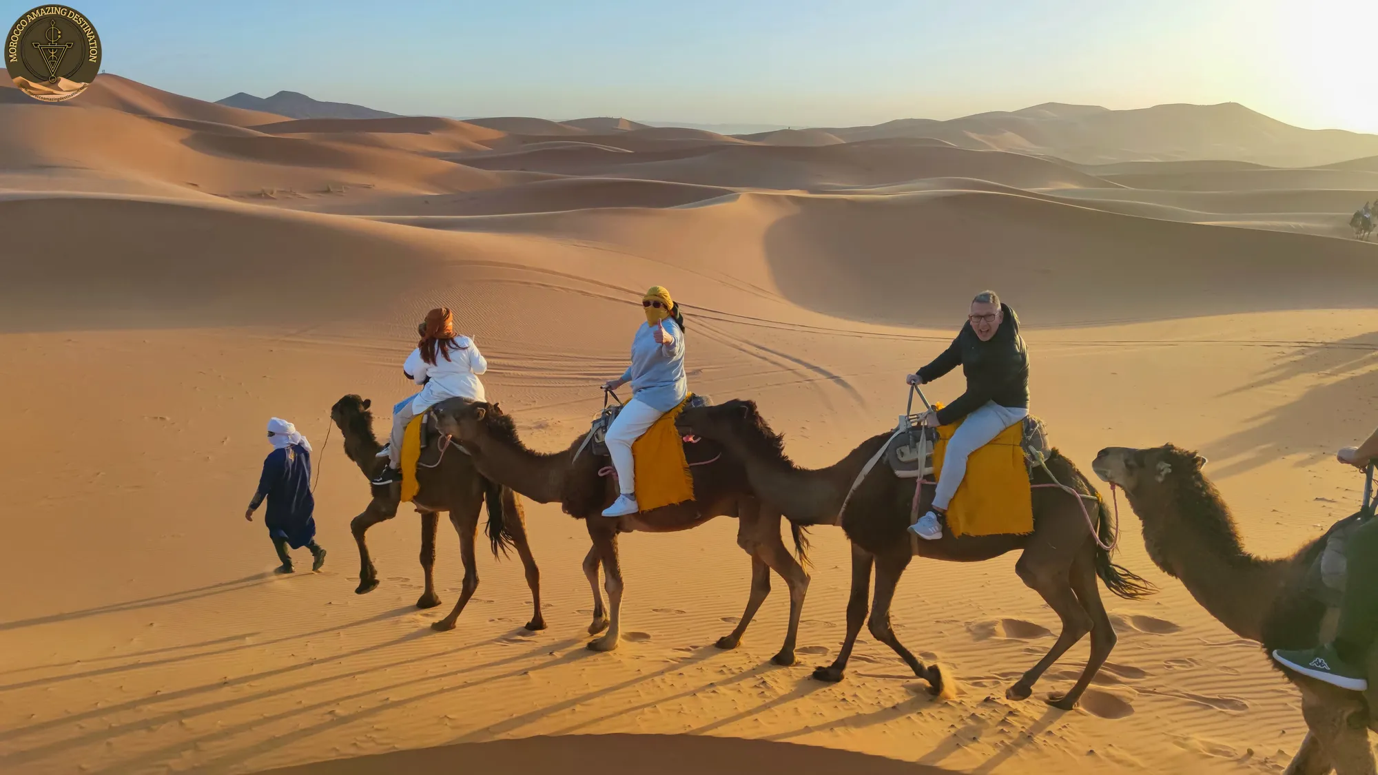 3 Day Desert Tour From Marrakech - Camels in the Desert in Morocco