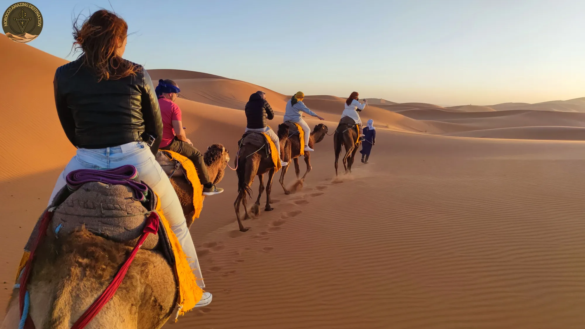 4 Days Tour From Marrakech To Merzouga - Camels in Merzouga Desert in Morocco