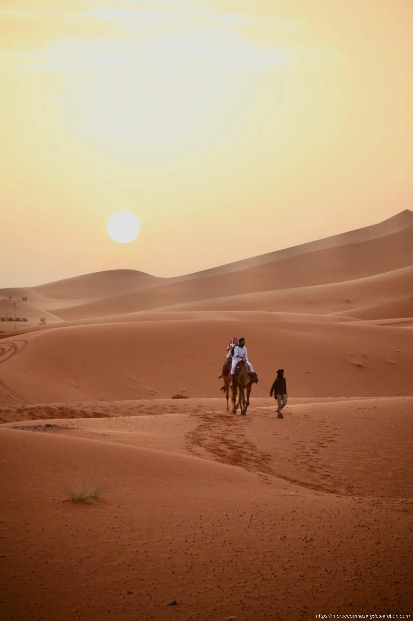 Morocco Desert Camps & Camel Treks: Recommendations and What to Expect
