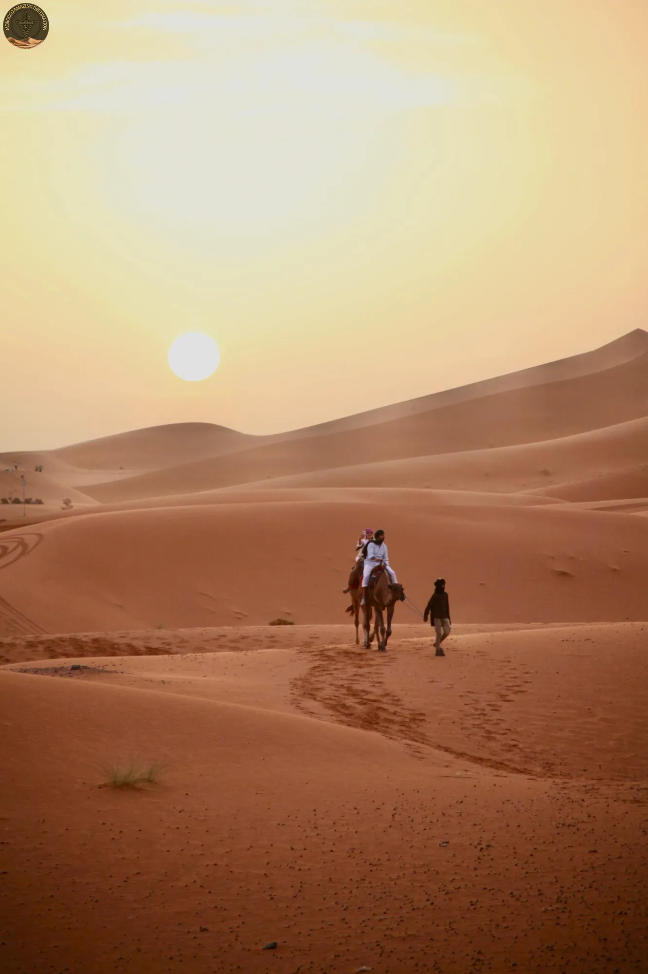 Campi nel Deserto e Trekking in Cammello in Marocco: Raccomandazioni e Cosa Aspettarsi