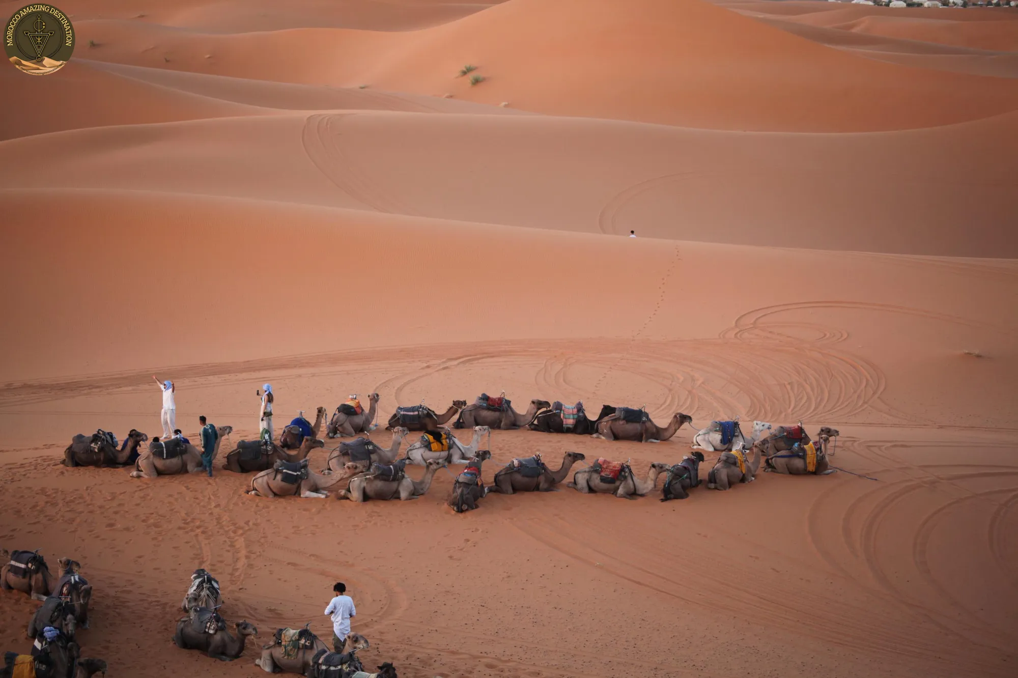 Desert Safari Morocco: Camel Ride & Overnight Guide