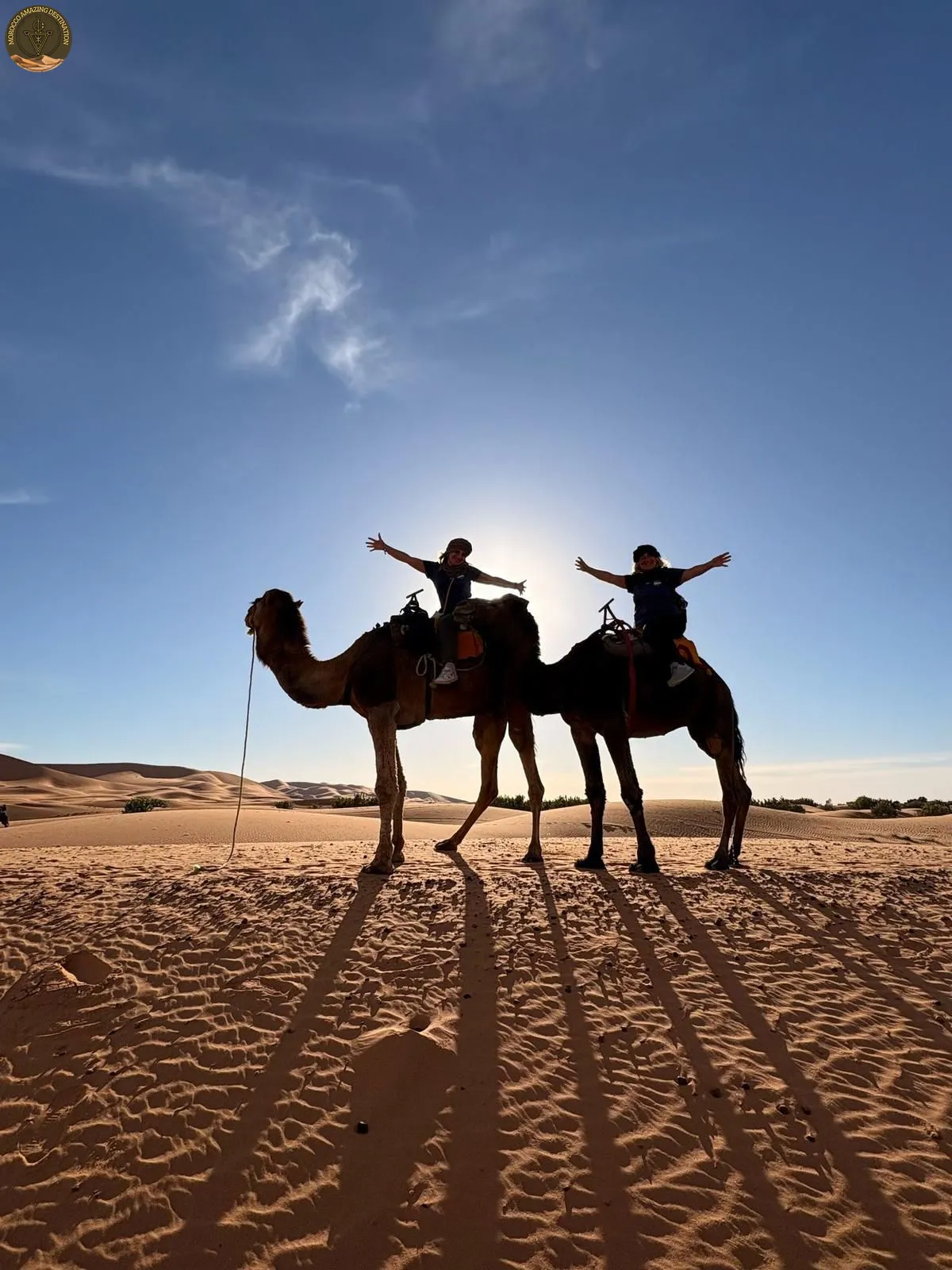 Fes To Marrakech - Camels in Merzouga Desert in Morocco