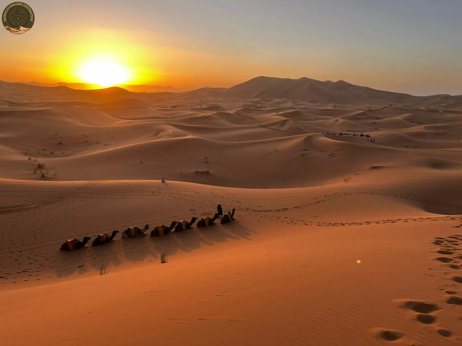 Overnight Camel Trek Merzouga: Complete Desert Camp Guide