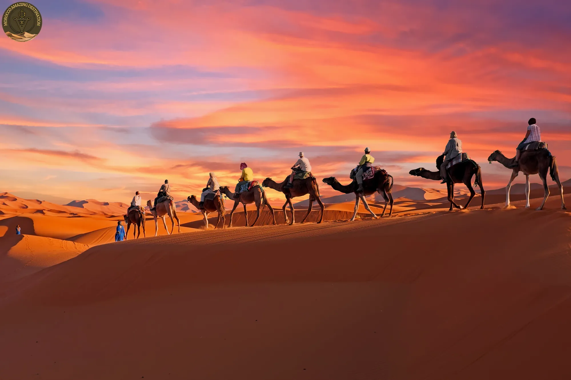 What Is the Official Language of Morocco? Arabic & Amazigh