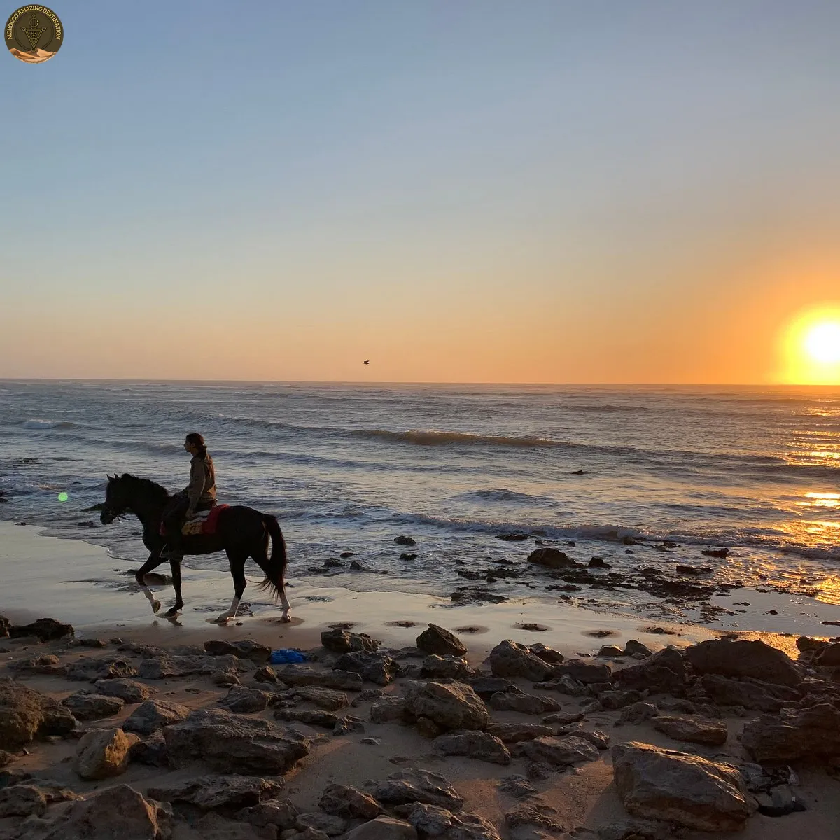 Wild Diabat Beach dunes and Atlantic coast near Essaouira