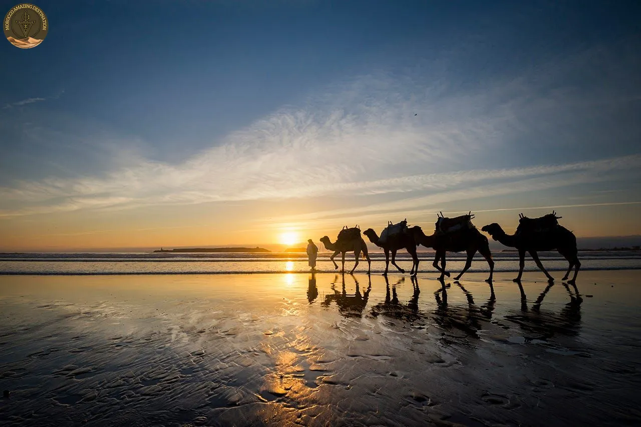 Best Day Trips from Essaouira