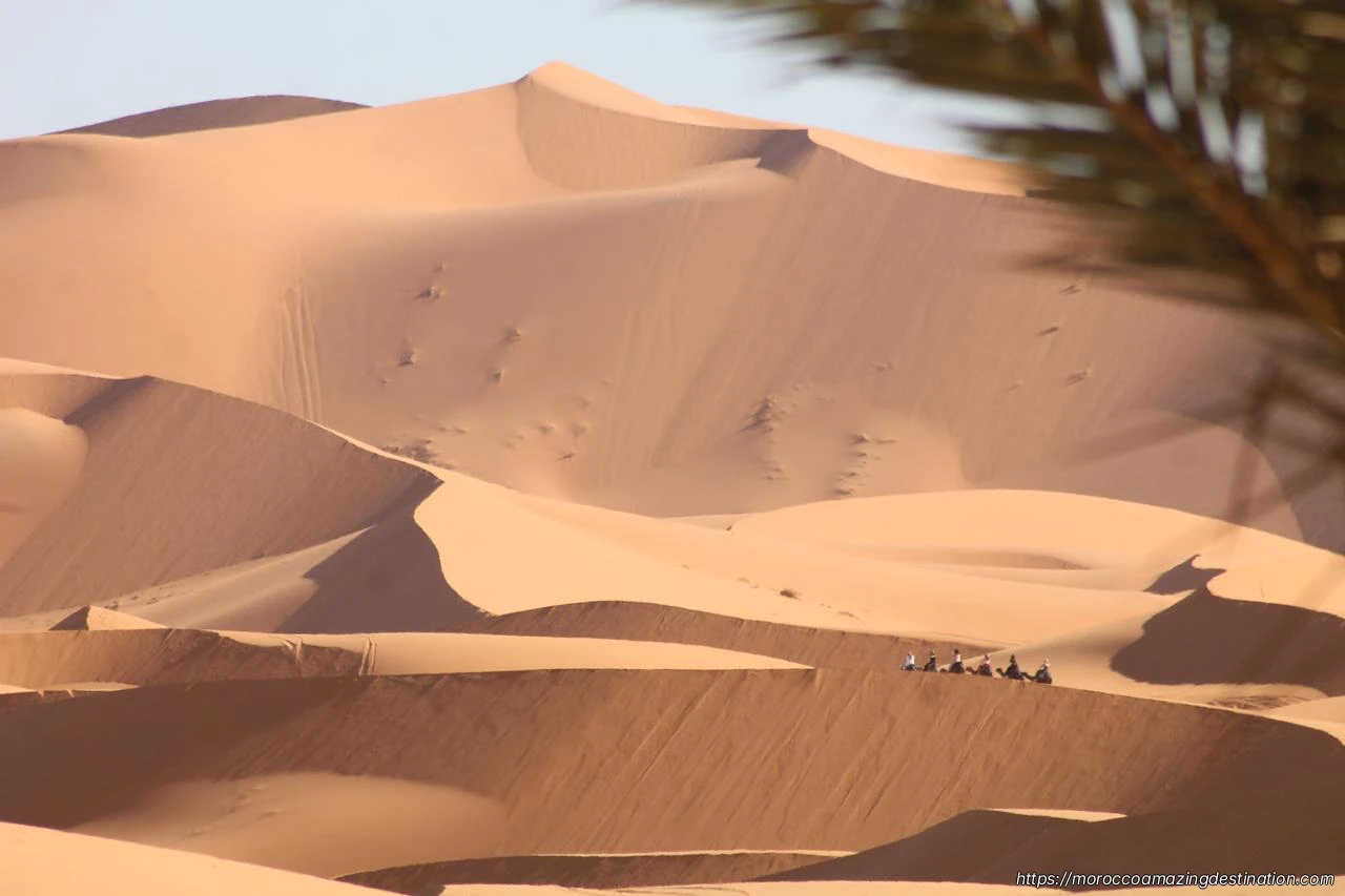 Sahara Desert excursion
