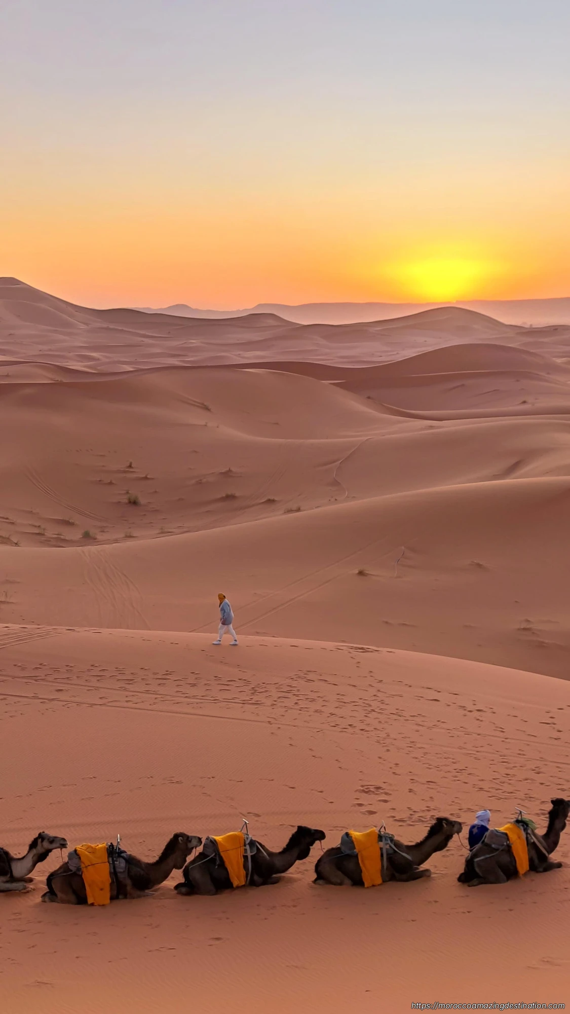 Are There Any Travel Requirements for Morocco? Here's What You Need to Know